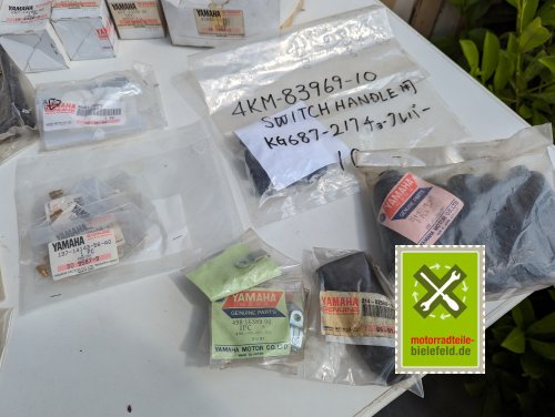 PXL_20240523_094514913